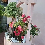 Venus * Dessenheim