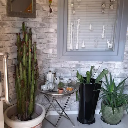 Venus Apartment *