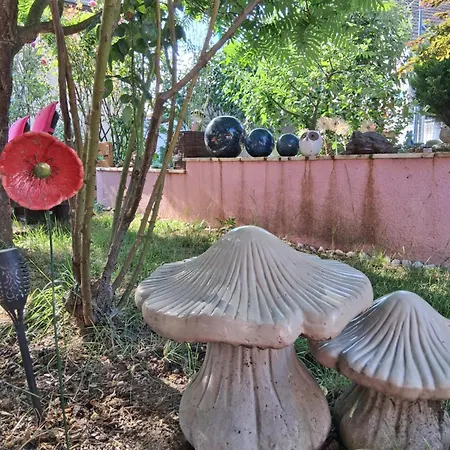דירה Venus