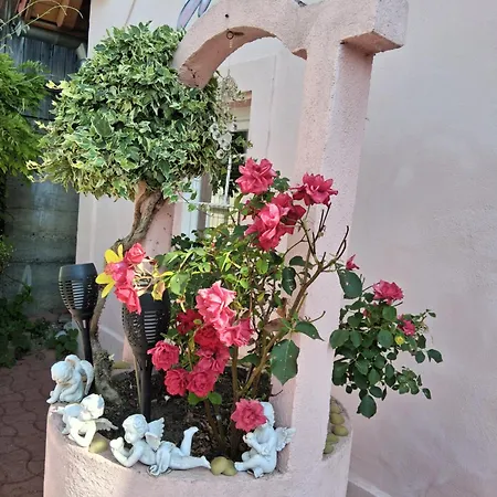 Venus * Dessenheim
