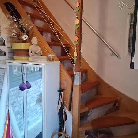 Venus Apartment *