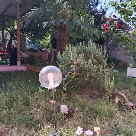 Venus *